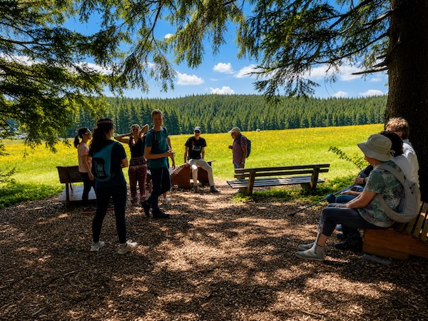 Gruppe bei einer Rast während der Heilklima-Wanderung