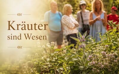 Die Heilkraft der Kräuter – Kräuterwanderung in Meran