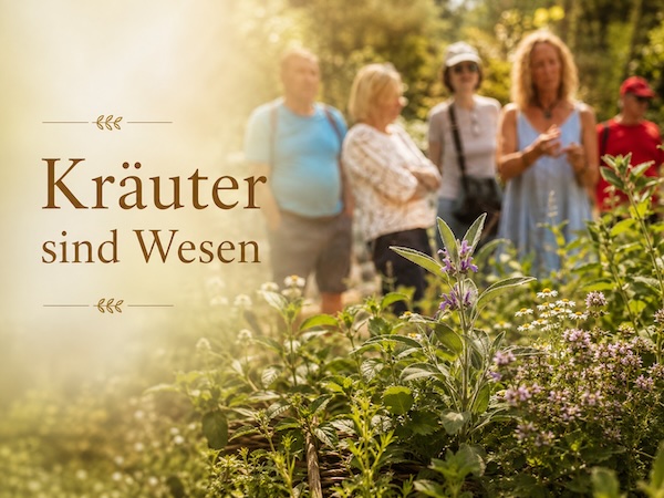 Die Heilkraft der Kräuter – Kräuterwanderung in Meran 